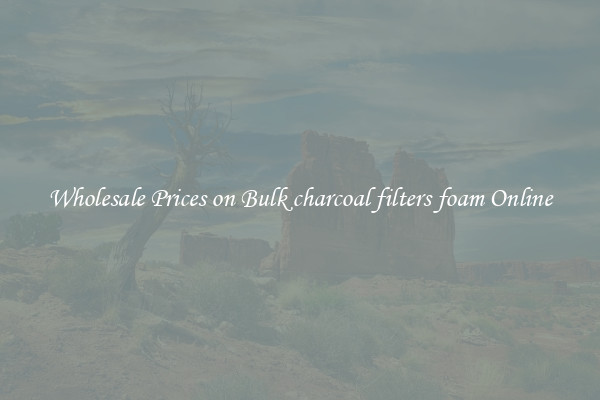 Wholesale Prices on Bulk charcoal filters foam Online