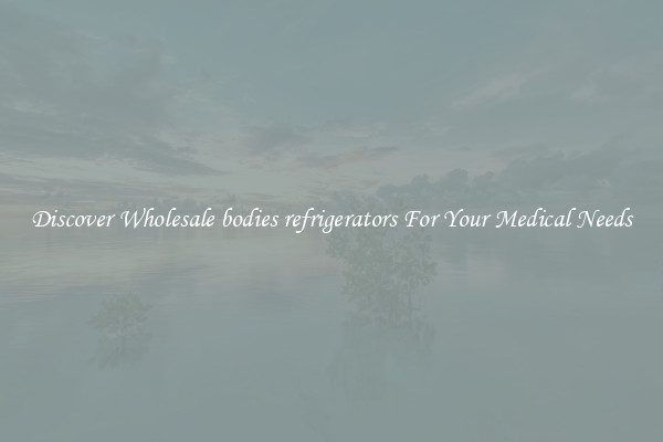 Discover Wholesale bodies refrigerators For Your Medical Needs