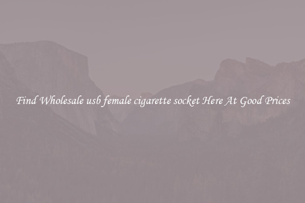 Find Wholesale usb female cigarette socket Here At Good Prices