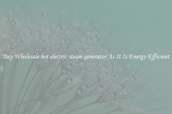 Buy Wholesale hot electric steam generator As It Is Energy Efficient