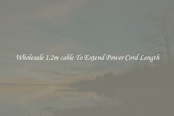 Wholesale 1.2m cable To Extend Power Cord Length