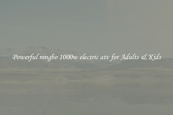Powerful ningbo 1000w electric atv for Adults & Kids