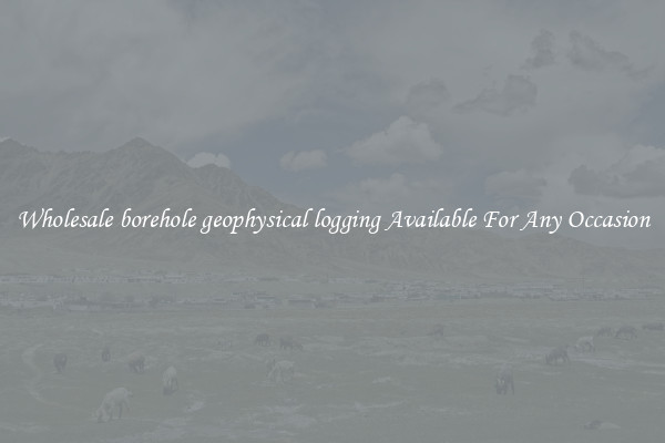 Wholesale borehole geophysical logging Available For Any Occasion