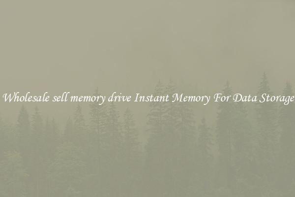 Wholesale sell memory drive Instant Memory For Data Storage