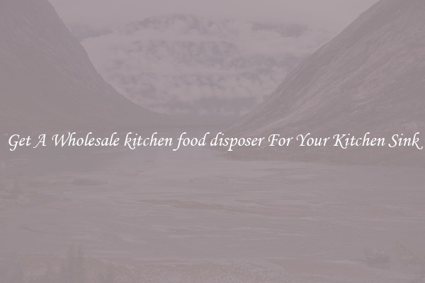Get A Wholesale kitchen food disposer For Your Kitchen Sink