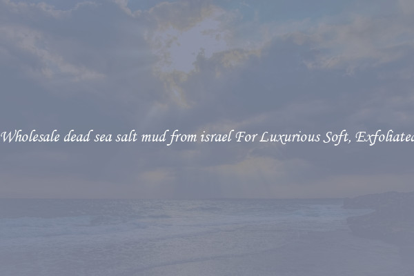 Shop Wholesale dead sea salt mud from israel For Luxurious Soft, Exfoliated Skin