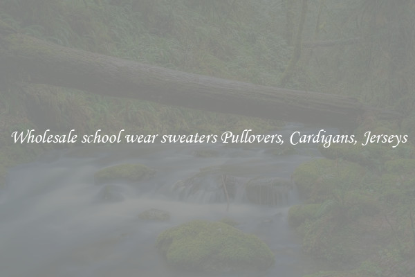 Wholesale school wear sweaters Pullovers, Cardigans, Jerseys