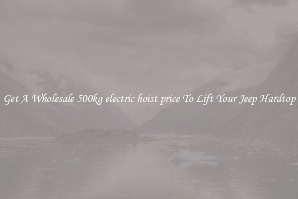 Get A Wholesale 500kg electric hoist price To Lift Your Jeep Hardtop
