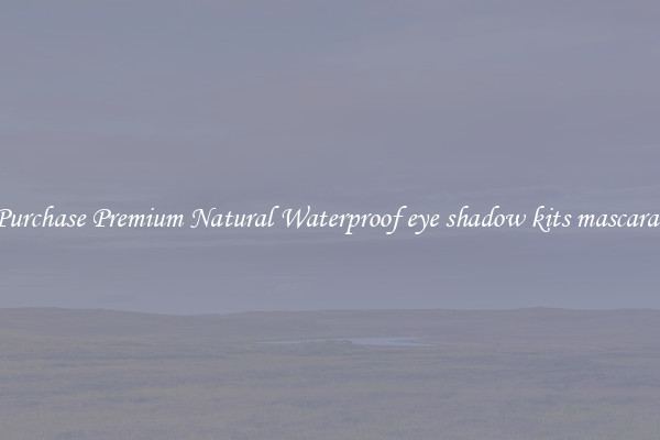 Purchase Premium Natural Waterproof eye shadow kits mascaras