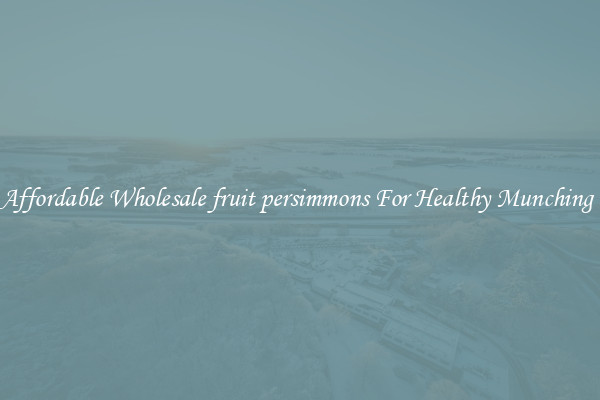 Affordable Wholesale fruit persimmons For Healthy Munching 