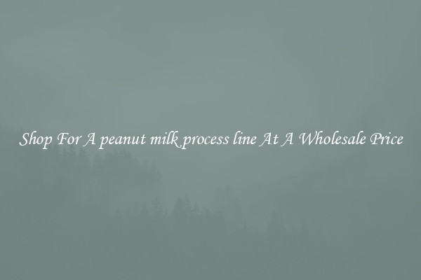 Shop For A peanut milk process line At A Wholesale Price