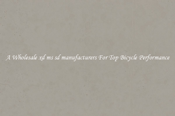 A Wholesale xd ms sd manufacturers For Top Bicycle Performance