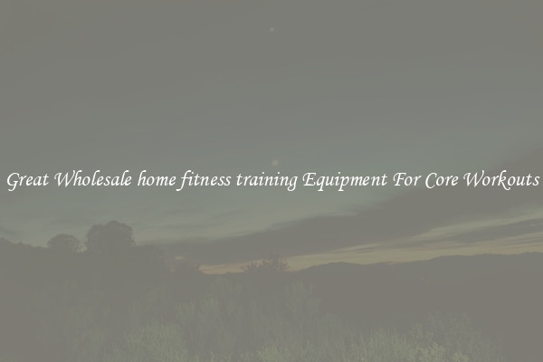 Great Wholesale home fitness training Equipment For Core Workouts