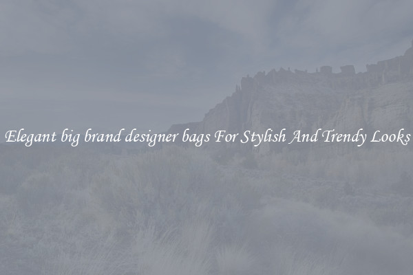 Elegant big brand designer bags For Stylish And Trendy Looks