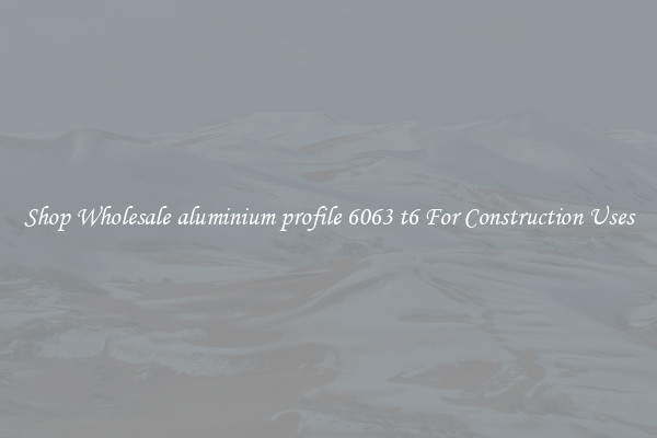 Shop Wholesale aluminium profile 6063 t6 For Construction Uses