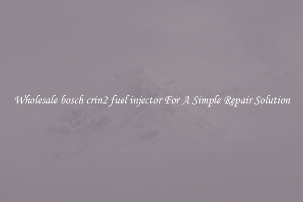Wholesale bosch crin2 fuel injector For A Simple Repair Solution