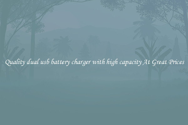 Quality dual usb battery charger with high capacity At Great Prices