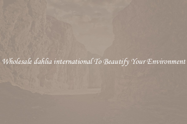 Wholesale dahlia international To Beautify Your Environment