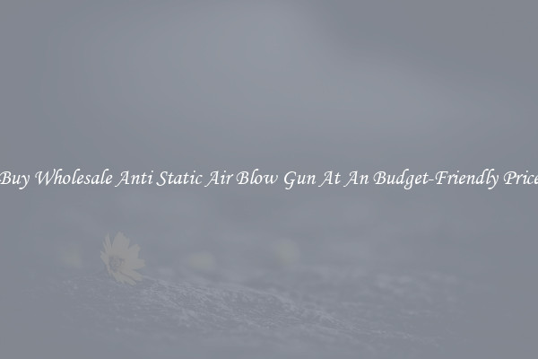 Buy Wholesale Anti Static Air Blow Gun At An Budget-Friendly Price