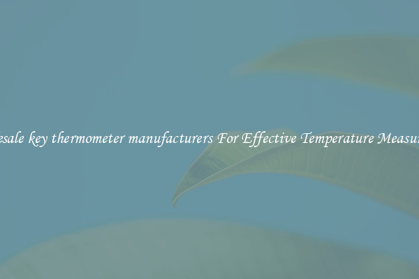 Wholesale key thermometer manufacturers For Effective Temperature Measurement